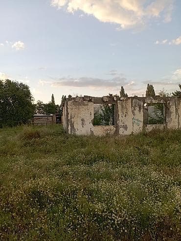 александровка купить дом: 6 соток, Для строительства — 1
