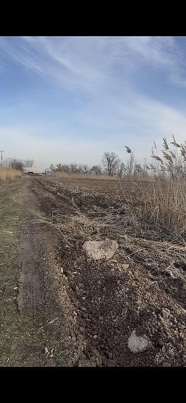 куплю места: 1 соток, Для сельского хозяйства, Тех паспорт — 2