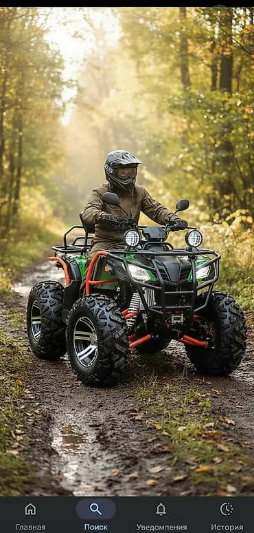 питбайк 100 кубов: Квадроцикл Бензин, 350 куб. см, Взрослый — 2