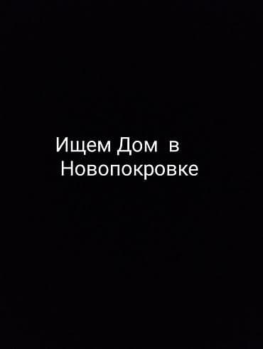аренда мойку: Ищем дом в Новопокровке. Интересует отдельно стоящий жилой дом в — 1