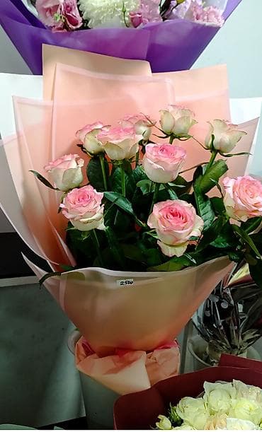 гелевые шар: Бумага, Новый — 7