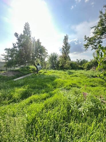 земля промназначения купить: 8 соток, Для строительства, Красная книга, Тех паспорт, Договор купли-продажи — 2