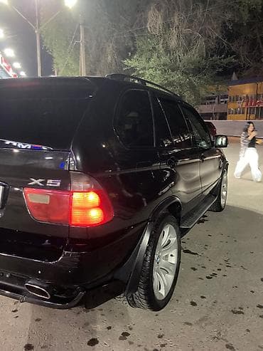 BMW X5: 2003 г., 4.6 л, Автомат, Бензин, Кроссовер — 7