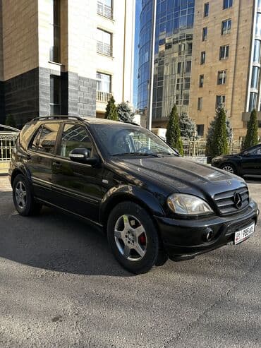 очень нужны: Mercedes-Benz M-Class: 2000 г., 5.5 л, Автомат, Бензиновая, Внедорожник — 5