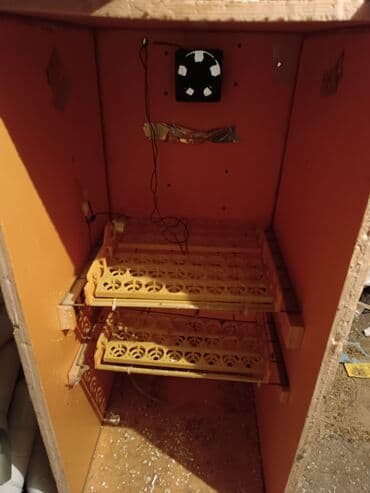 меняю на дом: Инкубатор с брудером — 1