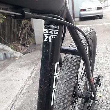 Спорт и хобби: Цена окончательная — 2