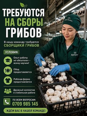 key maker: Вакансия: сборщики грибов Описание работы: - Сбор шампиньонов на — 1