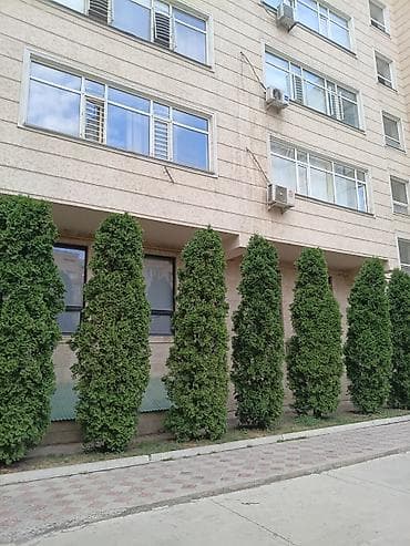 Батирлер: 4 бөлмө, 110 м², Элитка, 7 кабат, Евро оңдоо — 8