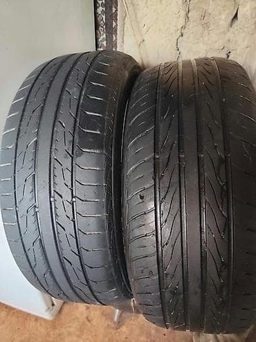 Две шины 215/55/17