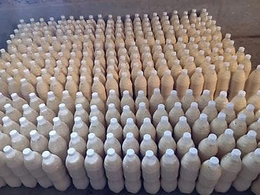 во сне доить корову: АЛАЙКУУ КЫМЫЗЫ 
100% таза тоонун кымызы — 5