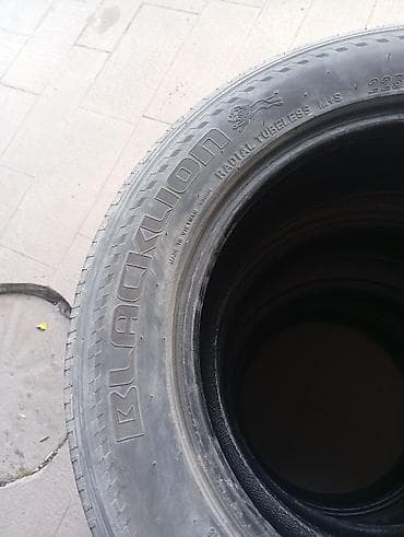 monoblok r18: Шины 225 / 65 / R 17, Всесезонная, Б/у, Комплект, Внедорожные (АТ/МТ), Вьетнам, BLACK LION — 2