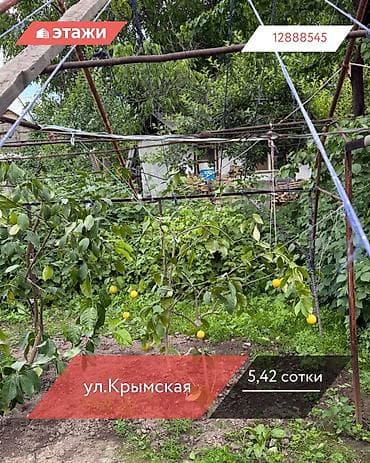 5 соток
