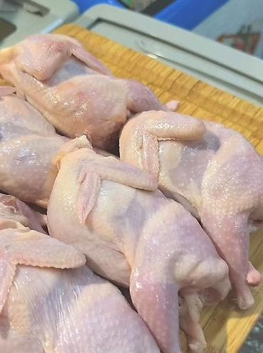 мясо перепелов: Перепела, Перепелка потрошёные, охлаждённые/замороженные (тушки целые) — 1