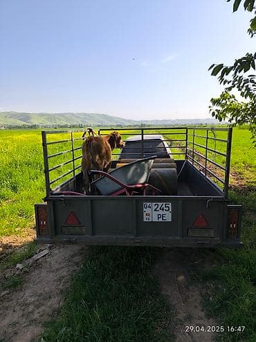 газ цена ош: Volkswagen Golf: 1992 г., 1.8 л, Ручные, Бензин, Купе — 2