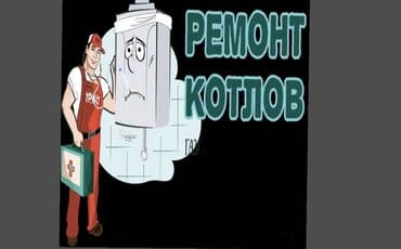 Профессиональное обслуживание и ремонт газовых котлов !! -
