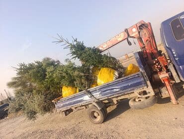 домкрат гидравлический для вытяжки авто: | Стрела 8 м 2000 т | Борт 4000 кг — 3