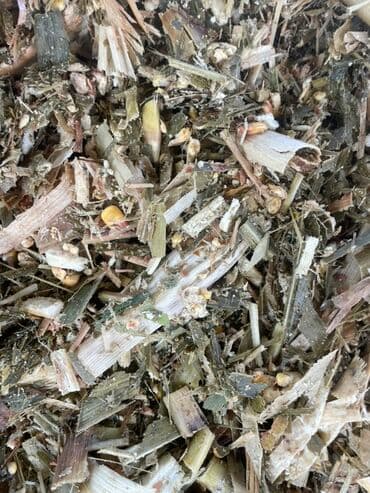 Предлагается силос, измельченный и смешанный корм, предназначенный для