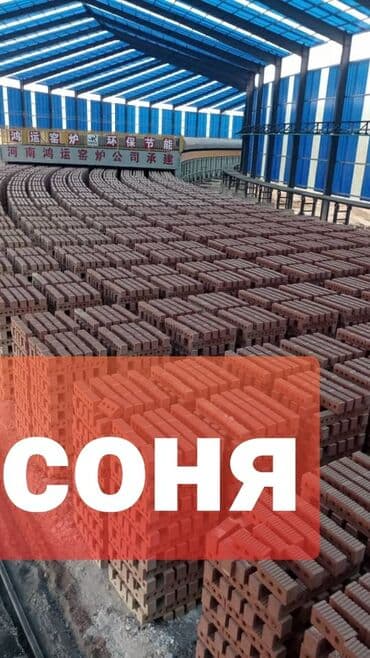 Пустотелый, дырчатый, Жженый кирпич, Полублок, 250×120×90 at lalafo.kg Пустотелый, дырчатый, Жженый кирпич, Полублок, 250×120×90