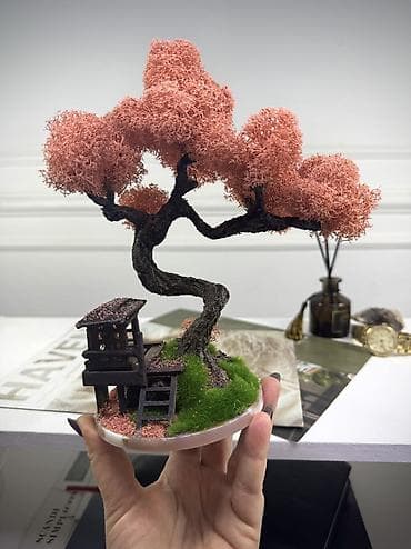 Декоративное настольное деревце Бонсай из стабилизированного мха-