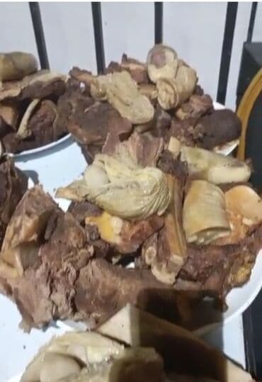 Бала бакчалар, бала багуучулар: Выездные банкеты КАСАПЧЫ.эт башы. жылкы,уй,союп бышырып,тартып — 1