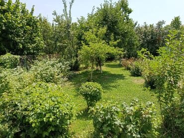 дом из оша: Дача, 35 кв. м, 3 бөлмө, Менчик ээси, Косметикалык оңдоо — 3