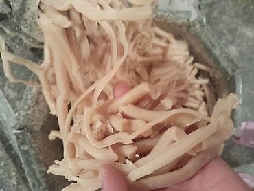 купить одеяло в бишкеке: Отом самынга даяр сырье сатылат катуу, жыты жок, сапаты жакшы — 4