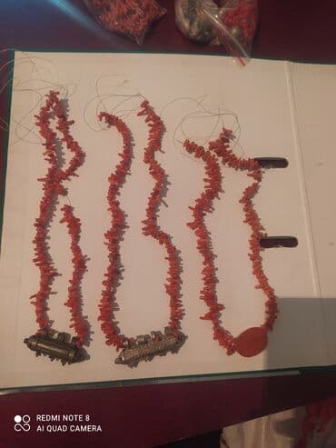 волейбольный мяч сколько стоит: Коралл длина от 40-50 см — 2