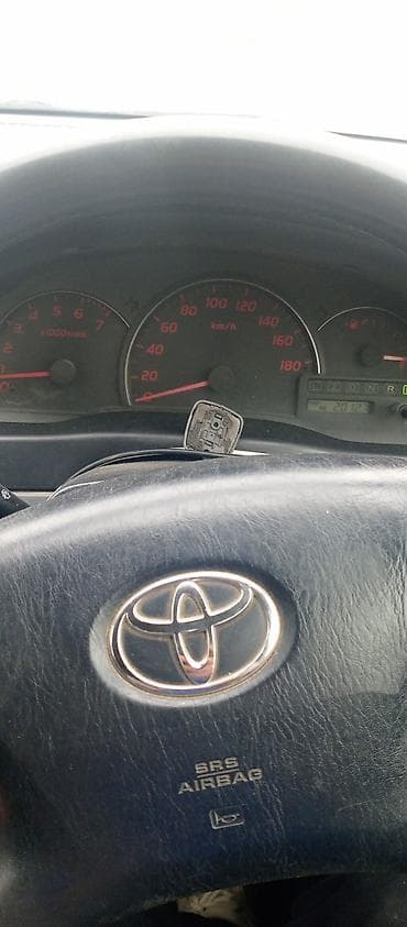 id 4: Toyota Ipsum: 2002 г., 2.4 л, Автомат, Газ, Минивэн — 10