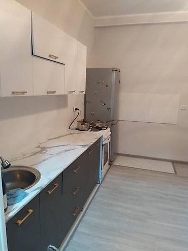 Батирлер: 2 бөлмө, Менчик ээси, Чогуу жашоосу жок, Толугу менен эмереги бар — 4