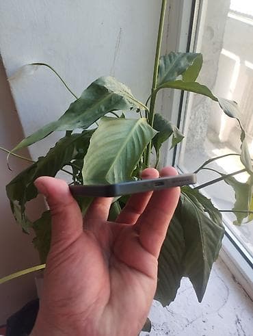 poco m8 pro: Poco M6 Pro 5G, Б/у, 256 ГБ, цвет - Синий, 2 SIM — 6