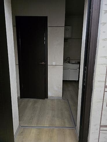 1к: Студия, С мебелью частично — 4