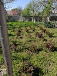 бишкек продаю дом село дордой 2: Дом, 1441 м², 12 комнат, Собственник — 39