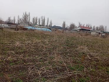 токмаке: 8 соток, Для строительства — 1