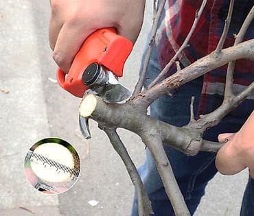 Отбойные молотки: Секатор аккумуляторный (сучкорез) — 2