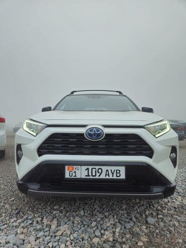 Toyota RAV4: 2019 г., 2.5 л, Вариатор, Гибрид, Кроссовер