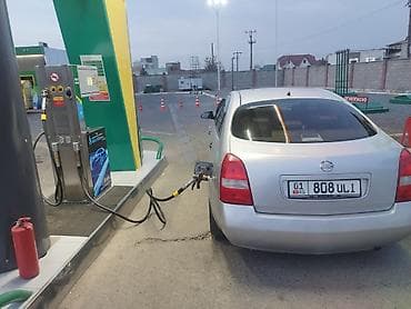 компьютер ниссан примера: Nissan Primera: 2002 г., 1.8 л, Механика, Газ, Седан — 8