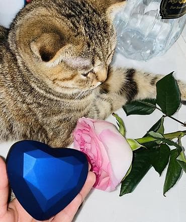 Декор и интерьер: Подарочные шкатулки для украшений с подсветкой - Форма: сердце с — 4