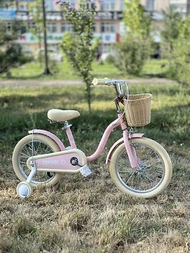 rd 5: Детский велосипед, 4-колесный, 4 - 6 лет, Для девочки — 1