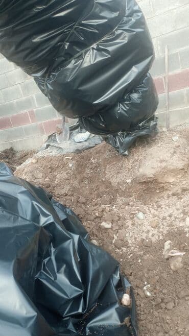 работу разнорабочий: Посадка,пересадка хвойных,карликовых,фруктовых,и декоративных — 9