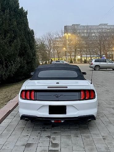 мустанк машина: Ford Mustang: 2018 г., 2.3 л, Бензин, Кабриолет — 7