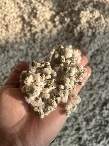 мандарин ящик: Масло хлопковое нерафинированное (сыродавленное) - Натуральное масло — 2