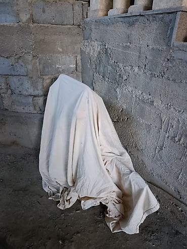 молочный танк: Продаю в идеальном состоянии турецкий доильный аппарат для коров.почти — 7