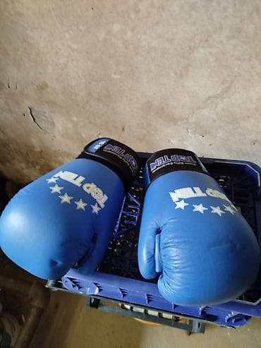 Электротранспорт: Боксерские перчатки TOP TEN (Germany) - Модель: Super Safety — 2