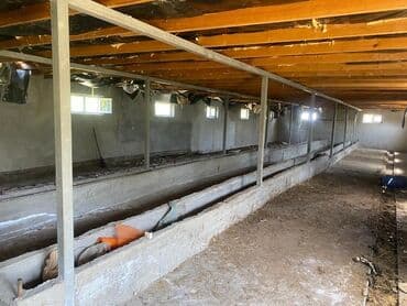 сдаю дом без хозяин: Сдается помещение 1500тыс КВ м имеются 3 сарая 1навес 1конюшня — 9