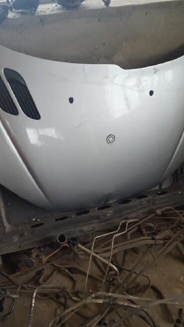 домашняя крыса купить: Peugeot 206 капот передний и правое крыло фары двигатель 1.4 коробка — 1