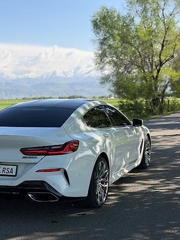 BMW: BMW 8 series: 2019 г., 4.4 л, Автомат, Бензин, Купе — 7