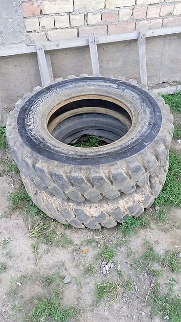 шины 24550 r20 зима: Шины для спецтехники экскаватор 140 — 1