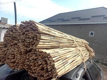 сдается кабинет в салоне: Кыргыз бамбугу сиздердин кызматта шаар ичи жеткирип беруу акысыз — 5