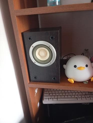 колонки динамик: Компактная акустическая система 2.1 в деревянном корпусе - Формат — 2