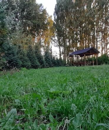 построить дом в бишкеке: 🌲 Зона отдыха "Фазенда"🌲 Добро пожаловать на "Фазенду"! 😍🤗 У нас Вы — 16